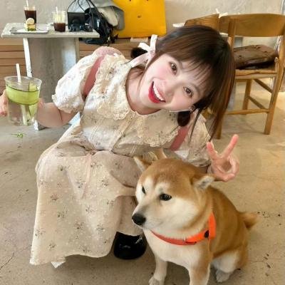 莫丽的朝圣